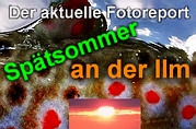 Der aktuelle Foto-Report: Sptsommer an der Ilm