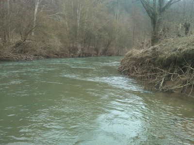 WP_000492.jpg