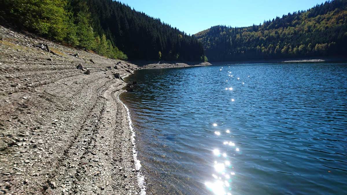 Talsperre im Herbst