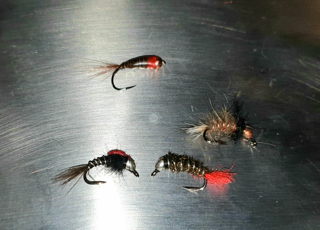 20201222_093917.jpg