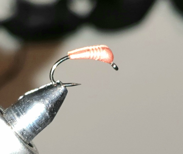 20201222_110510.jpg