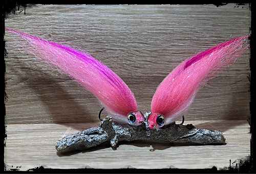 Pink Lady.JPG