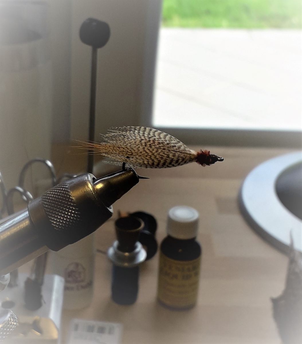 Ich nenne sie Motte.