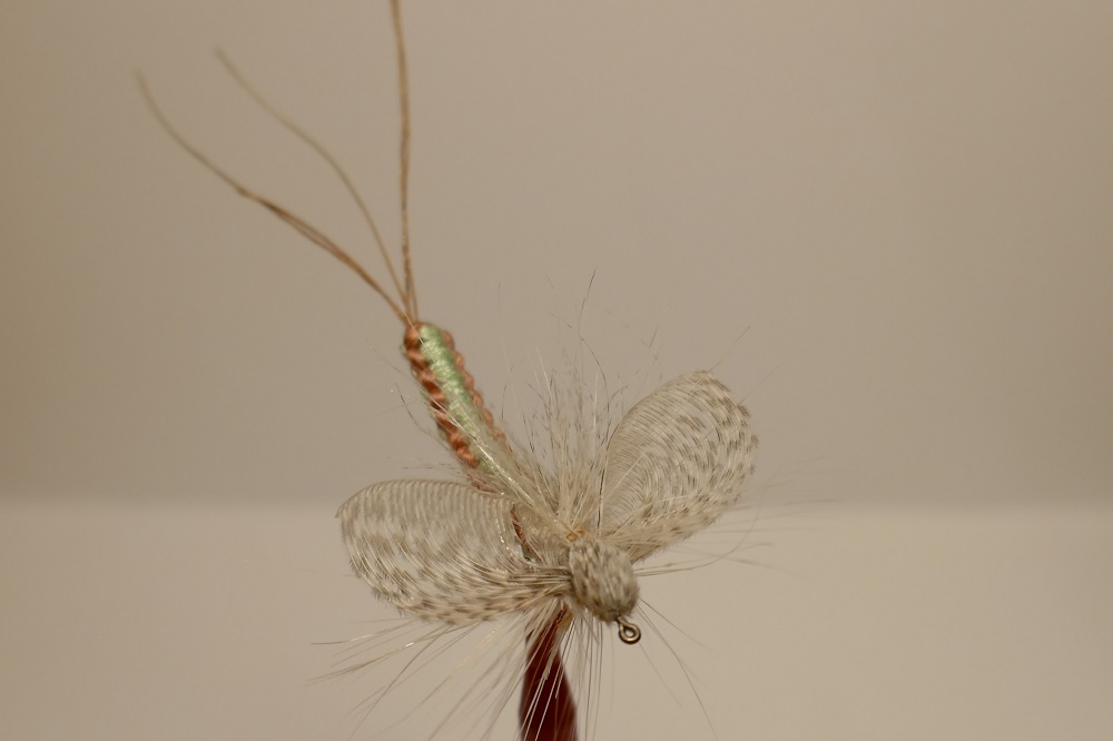 Maifliege grün 1
