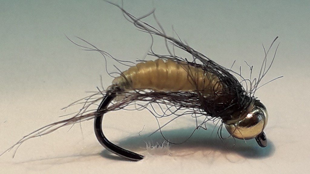 Catgut Caddis Nymphe #14.jpg