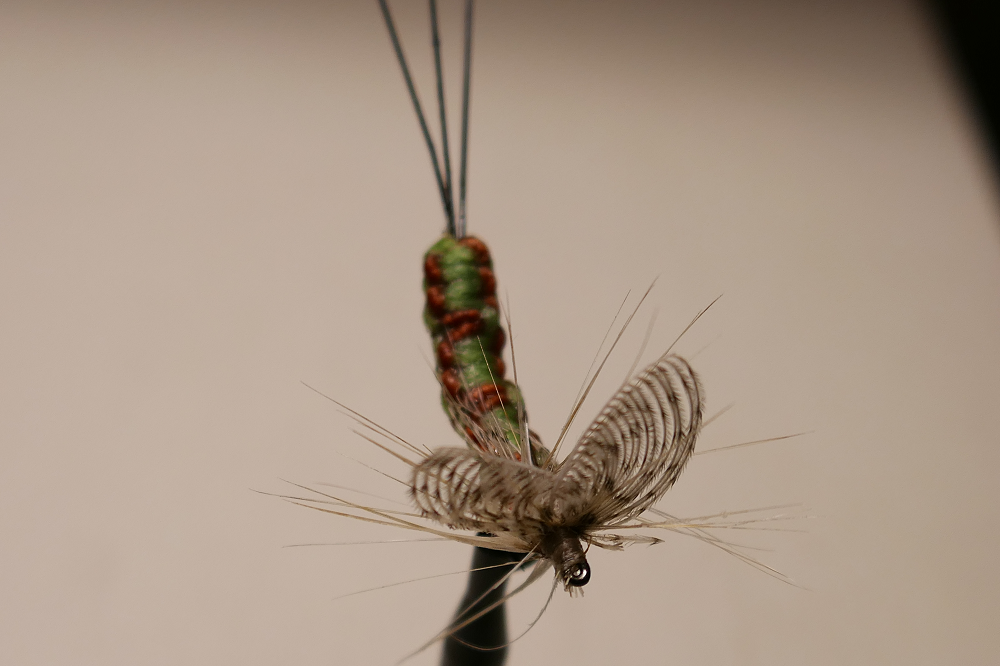 Trockenfliege
