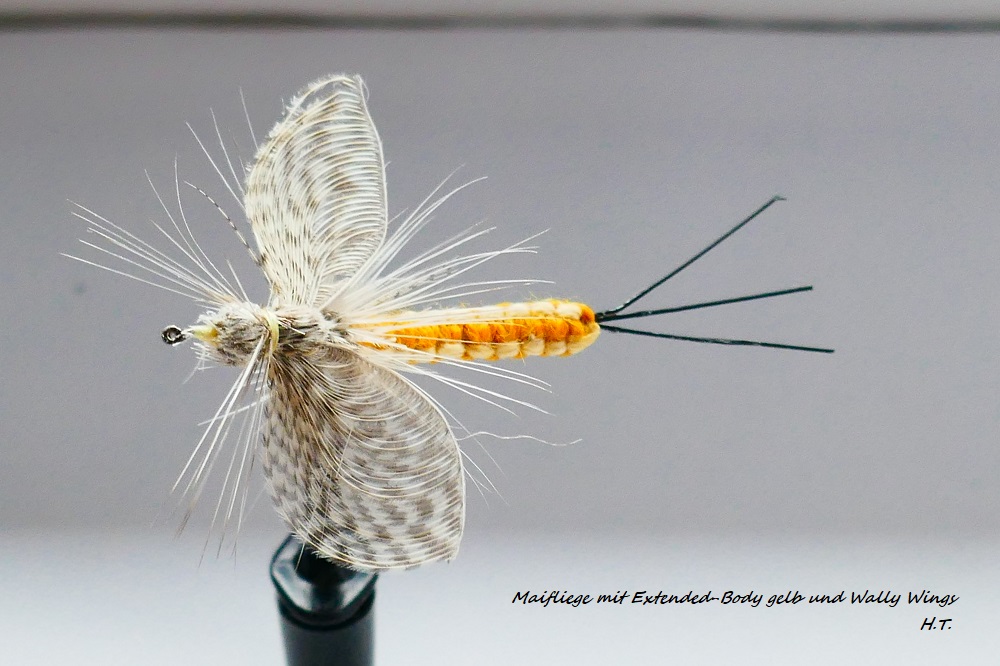 Maifliege gelb mit Ex & WW.jpg