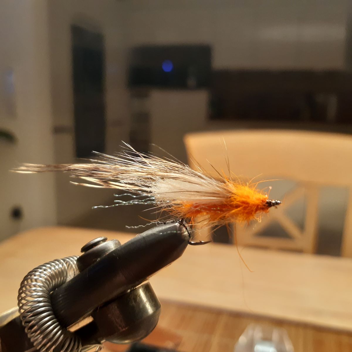 20220212_205609.jpg