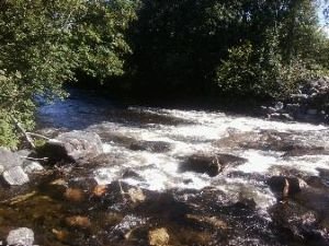 thumbnail (23).jpg