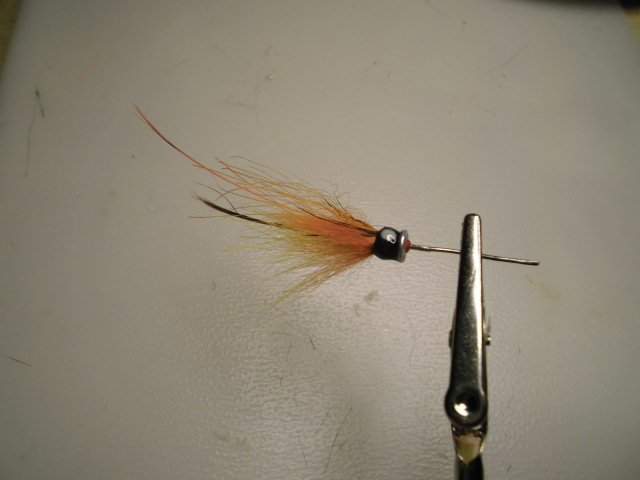 CIMG0735 – Kopi.JPG