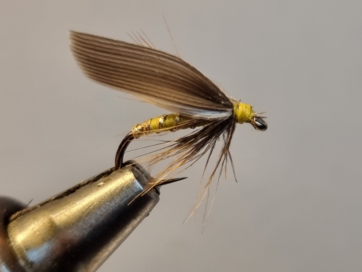 Greenwells Glory.jpg