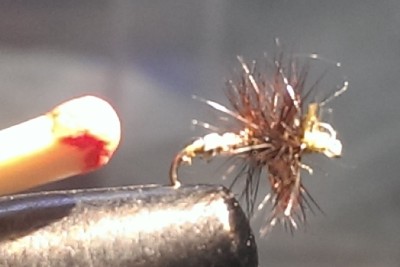 kleine silber-Braune