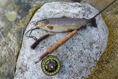 Berchtesgadner Ache August 2013 5.jpg