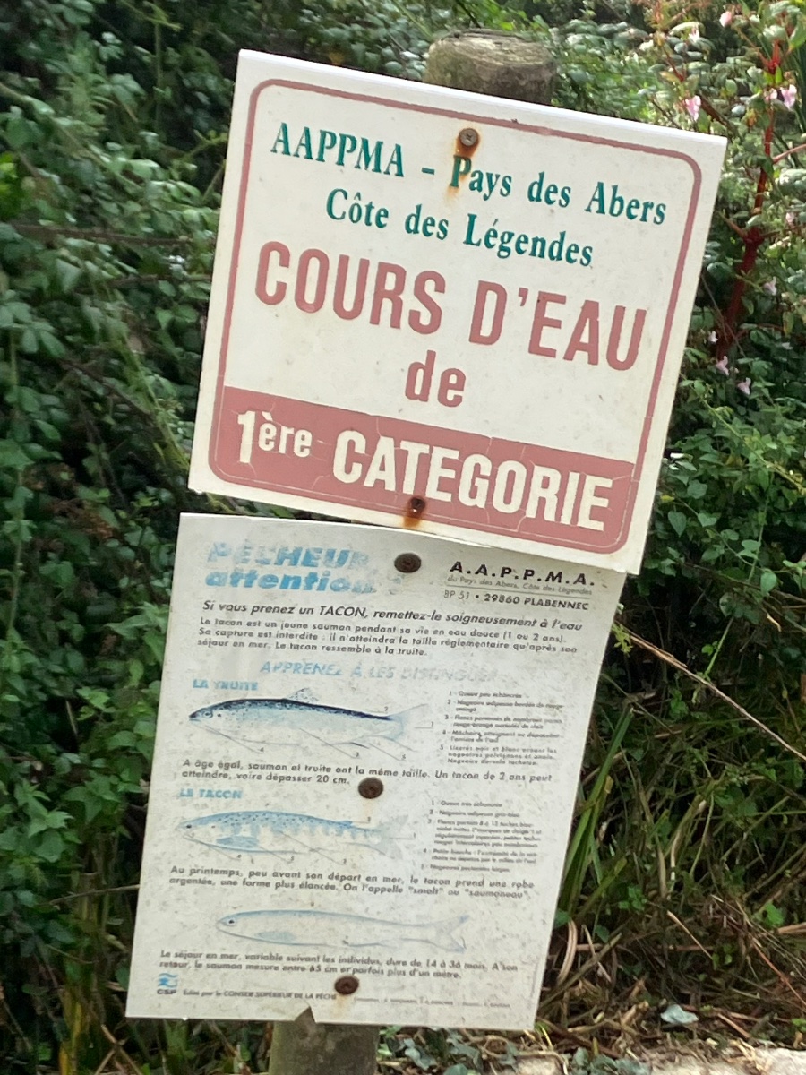 IMG_0893.jpeg