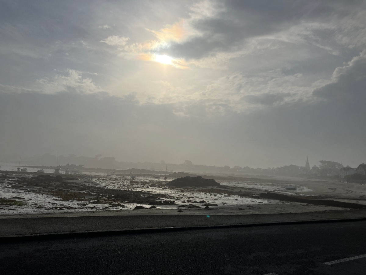 IMG_0888.jpeg