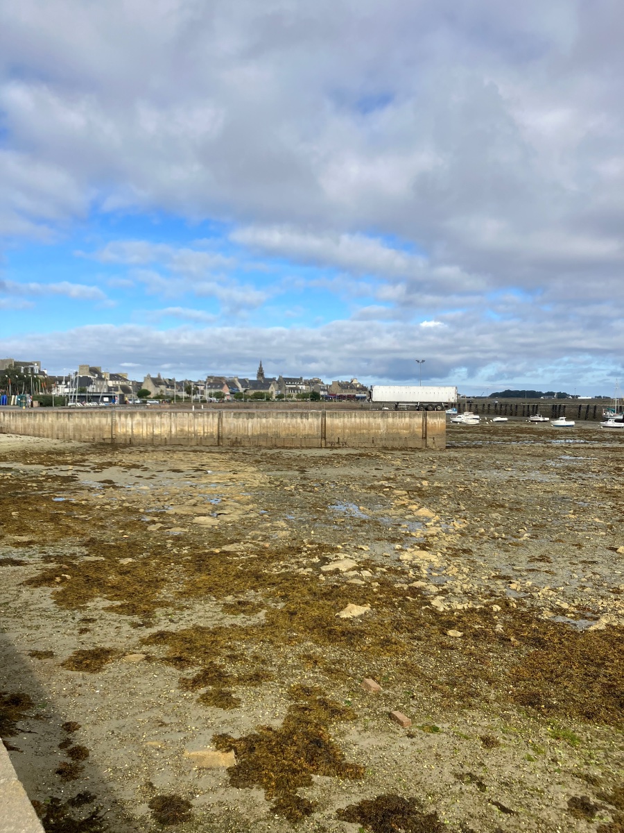 IMG_0912.jpeg