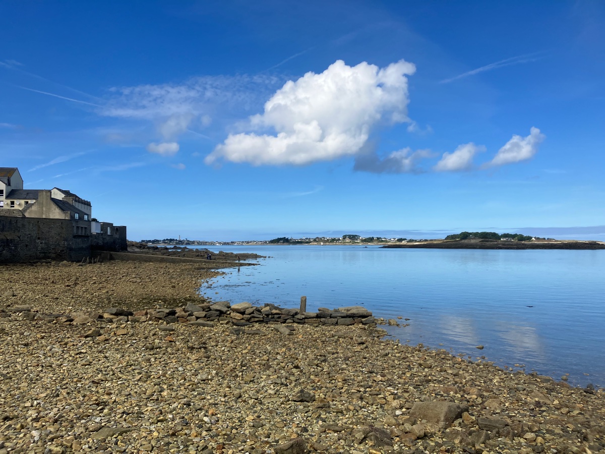 IMG_0923.jpeg