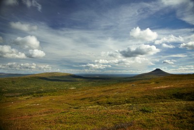Fjällklein.jpg