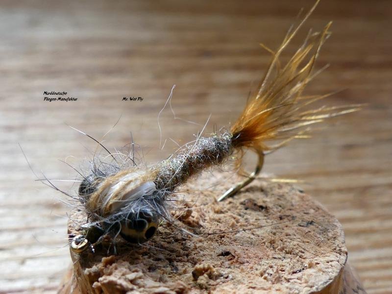 Damsel-Fly (16)1.JPG