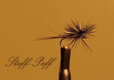 _MG_3771 Gr18 mit 35er Monofilpfosten_2.jpg