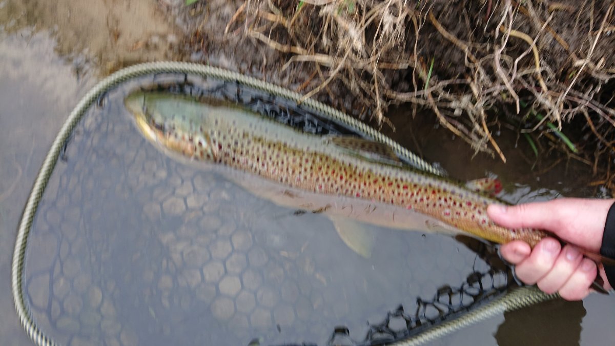 DSC_0974.JPG