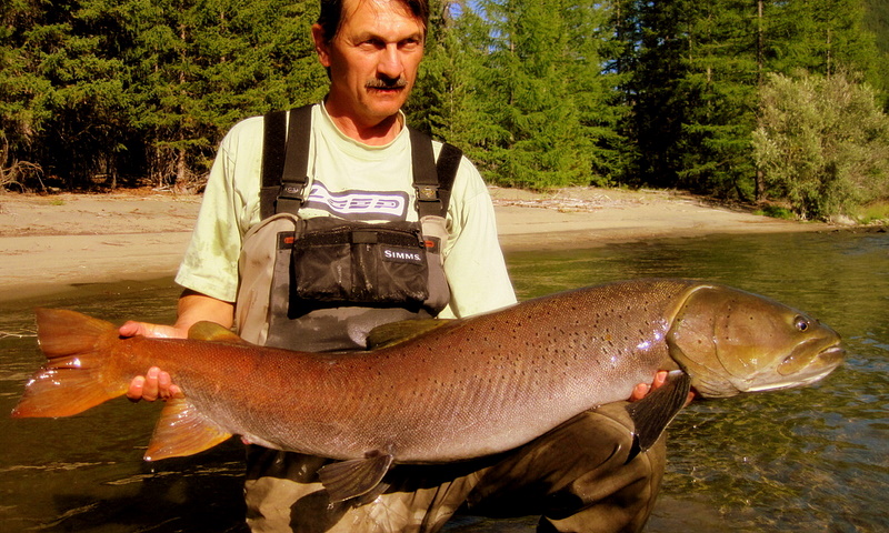 An der Sibirischen Grenze, Wildnis-Camp Chanagai 2010