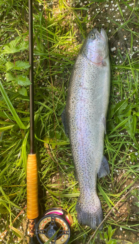 Screenshot 2024-05-15 094336.png