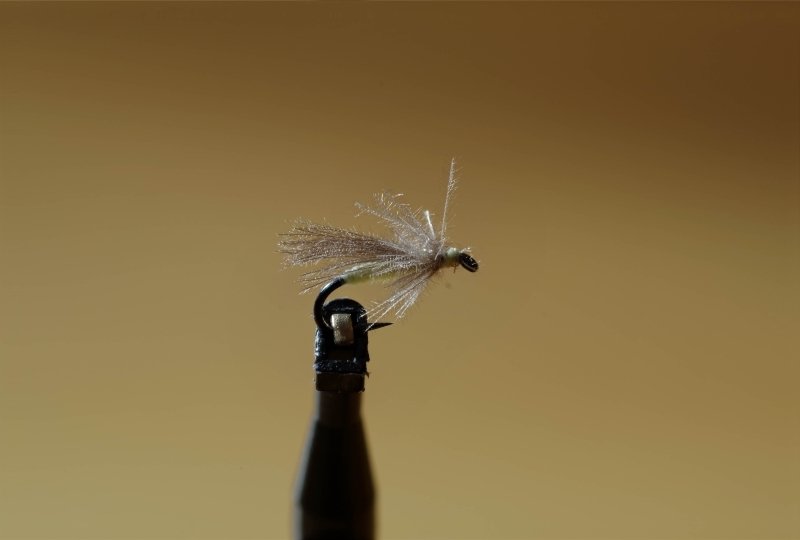 k016.jpg