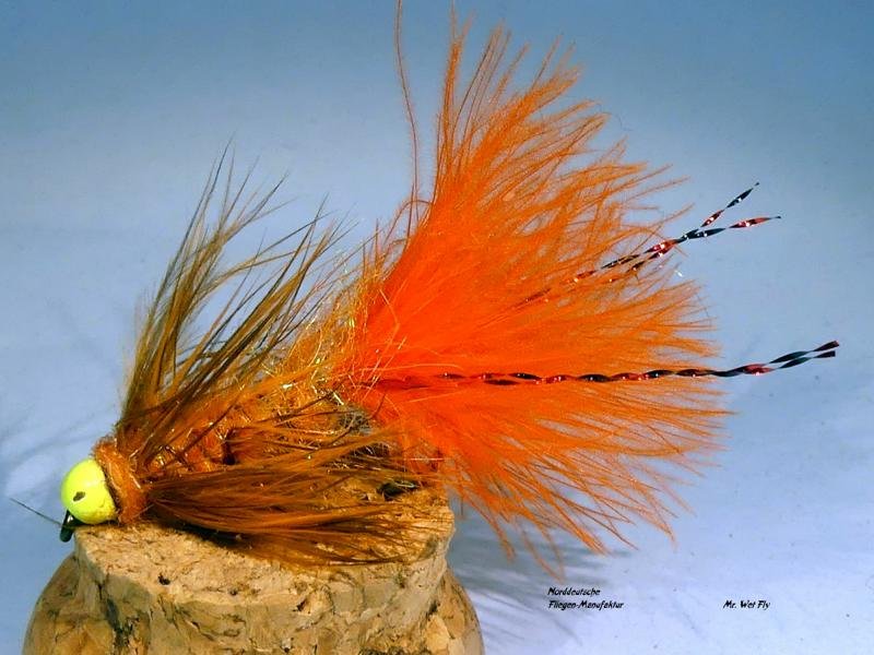 Wooly Bugger Variationen #8 (1)1.JPG