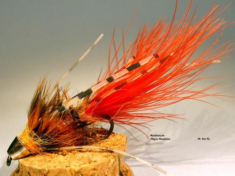 Wooly Bugger Variationen #8 (6)1.JPG