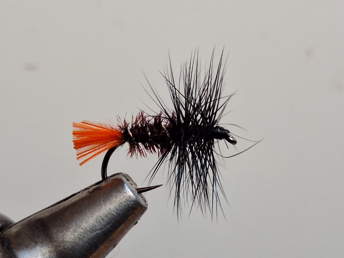 Red Tag black hackle.jpg
