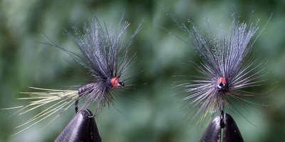 Ross & Cdc schwarz # 16.jpg