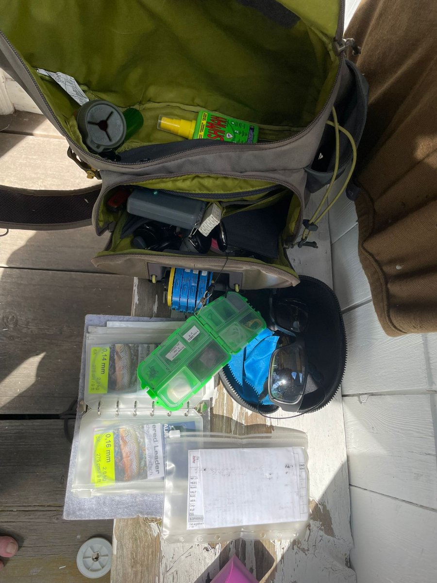 WhatsApp Bild 2025-07-23 um 13.46.12_06a91277.jpg