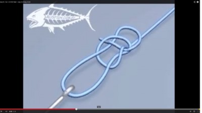 perfection loop.jpg