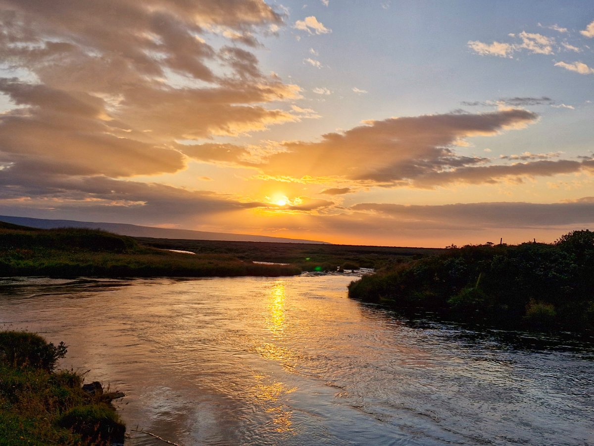 Island 2025 Bild 63.jpg