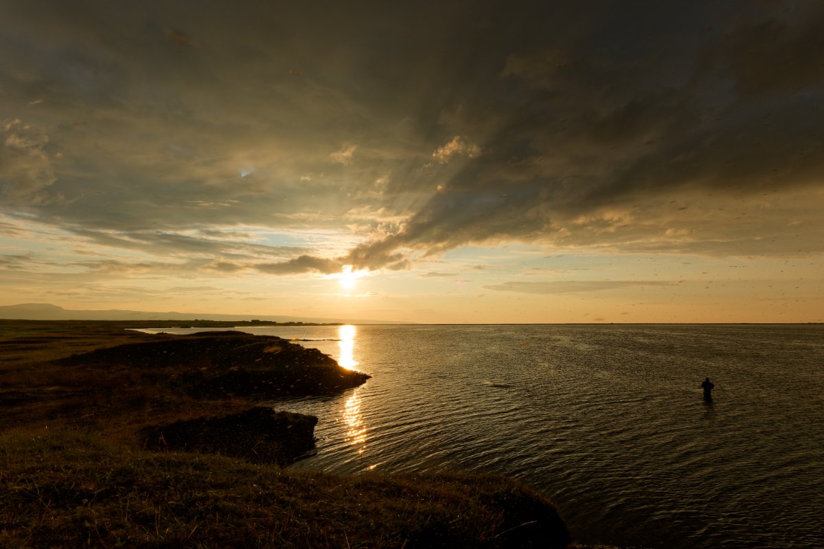 Island 2025 Bild 98.jpg