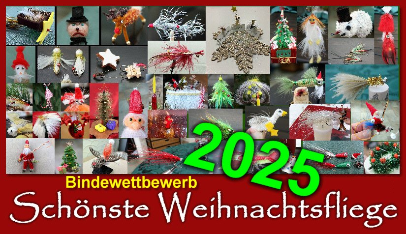bindewettbewerb2025g.jpg