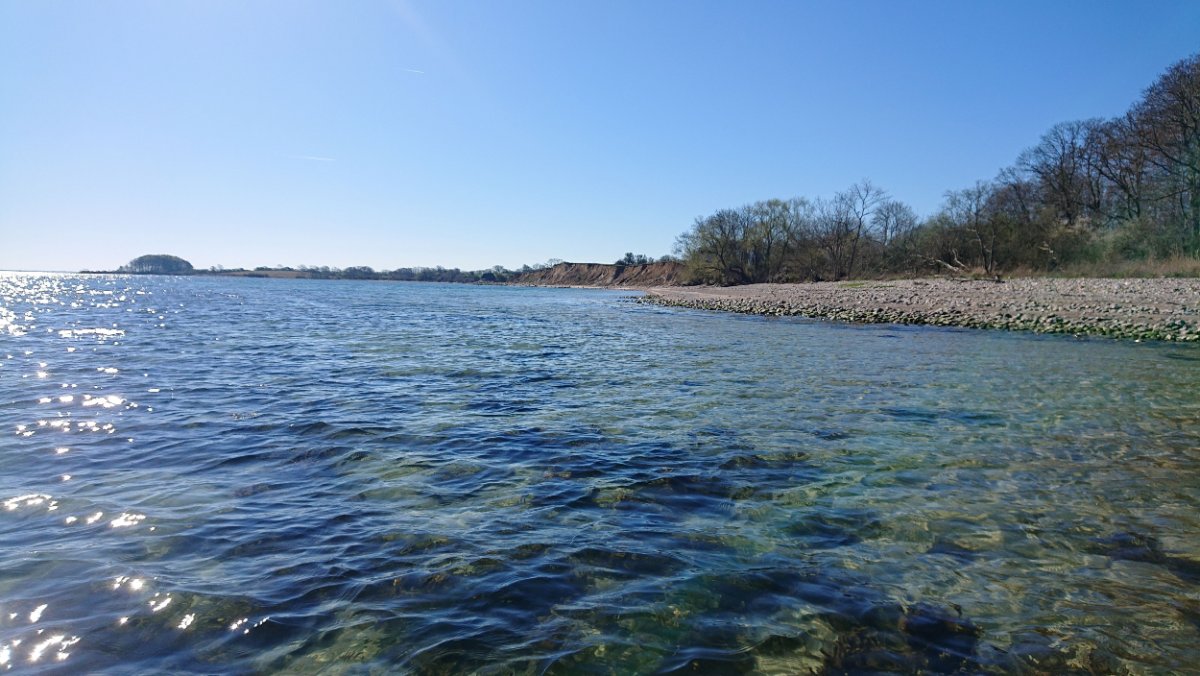 DSC_2303.JPG