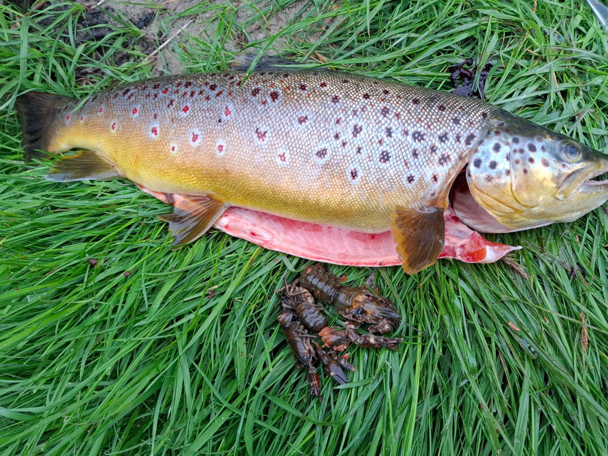 20260517_183221.jpg