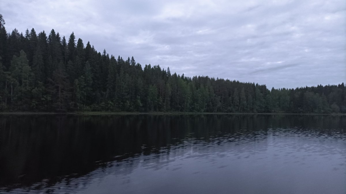 p3.jpg