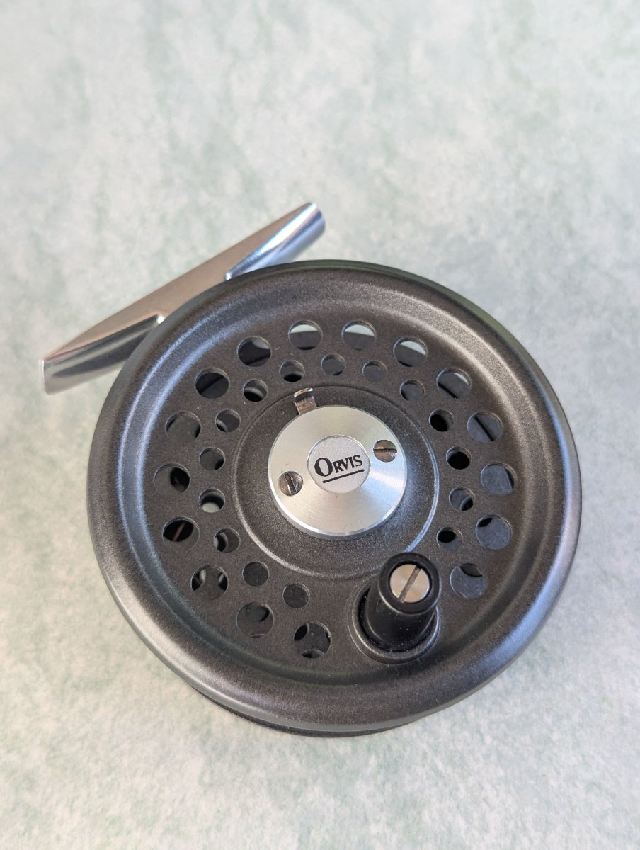 Ovis - 4.jpg
