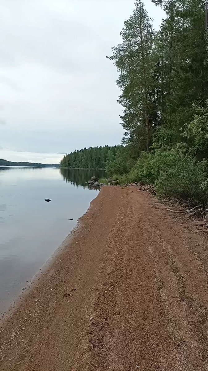 beach.jpg