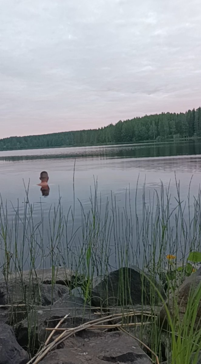 swim.jpg