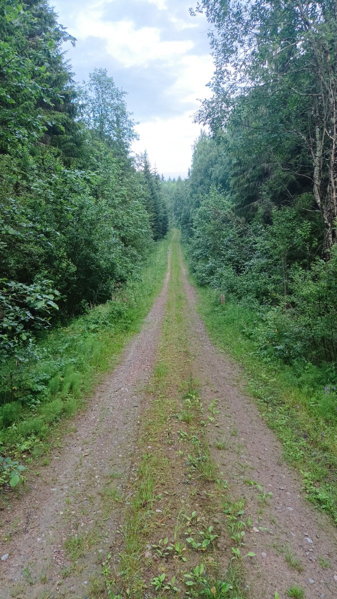road.jpg