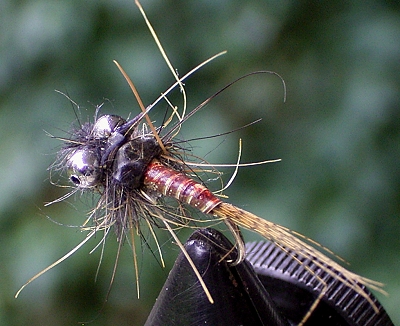 hepta syntheticquill 1.jpg