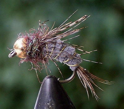 wildleder nymphe 02.jpg