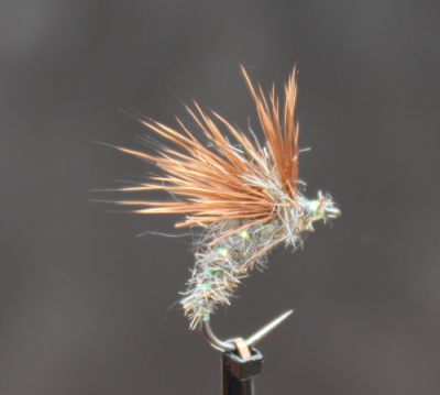 Emerger braun