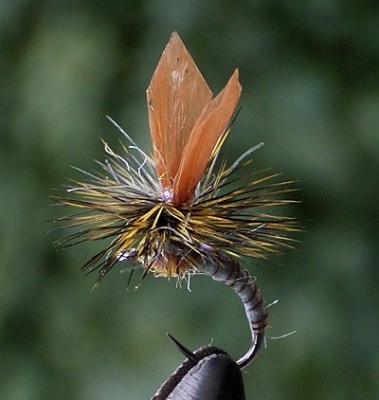 Bastfluegel Para 01.jpg