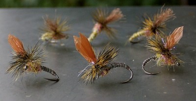 Bastfluegel Para 03.jpg