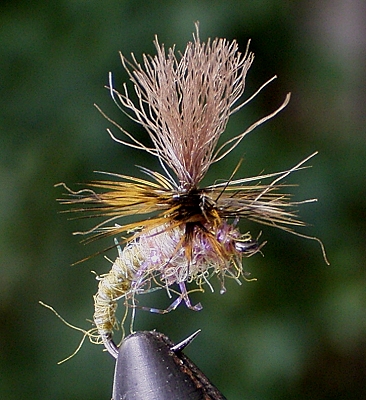 para 01.jpg